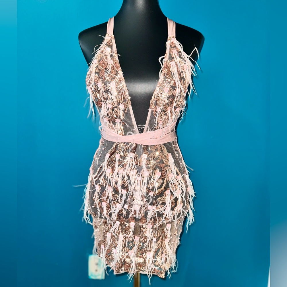 Elegant Sequin and Feather Dress